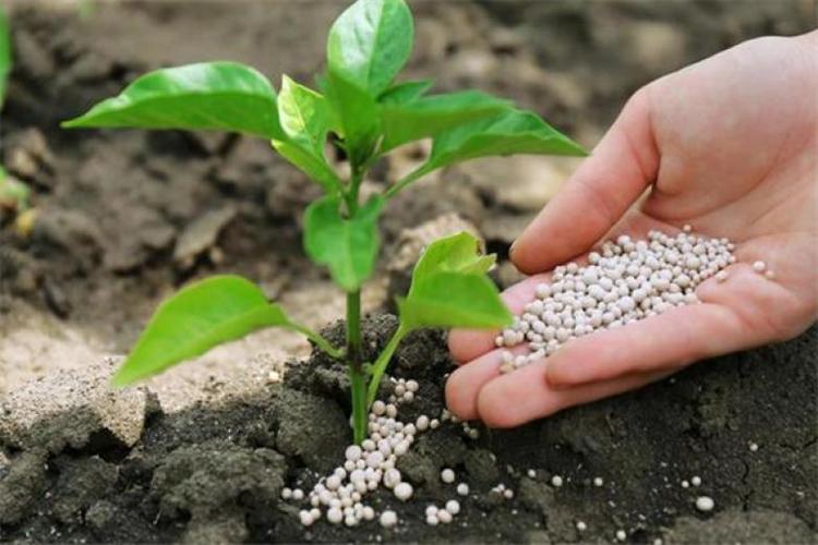 硝基复合肥,生物肥,缓释肥,海藻肥等新肥料研发,生产和销售的重点高新